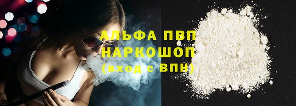 прущие грибы Волосово
