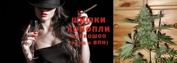 хмурый Верея
