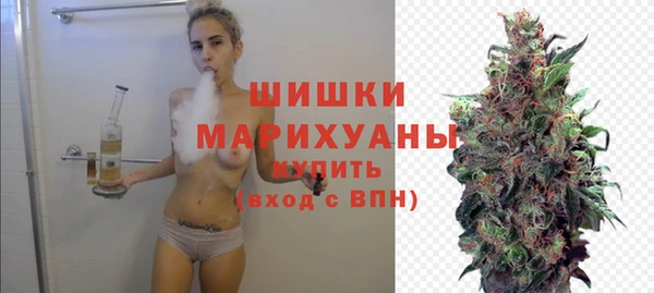 прущие грибы Волосово