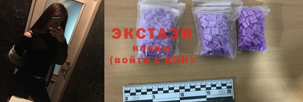 хмурый Верея