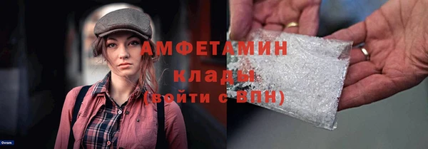 хмурый Верея
