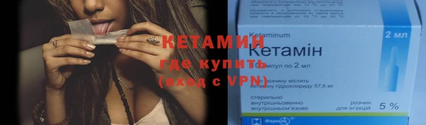 гидра Снежногорск