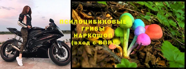 прущие грибы Волосово