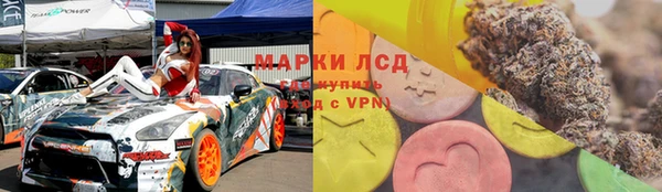 прущий лед Богданович
